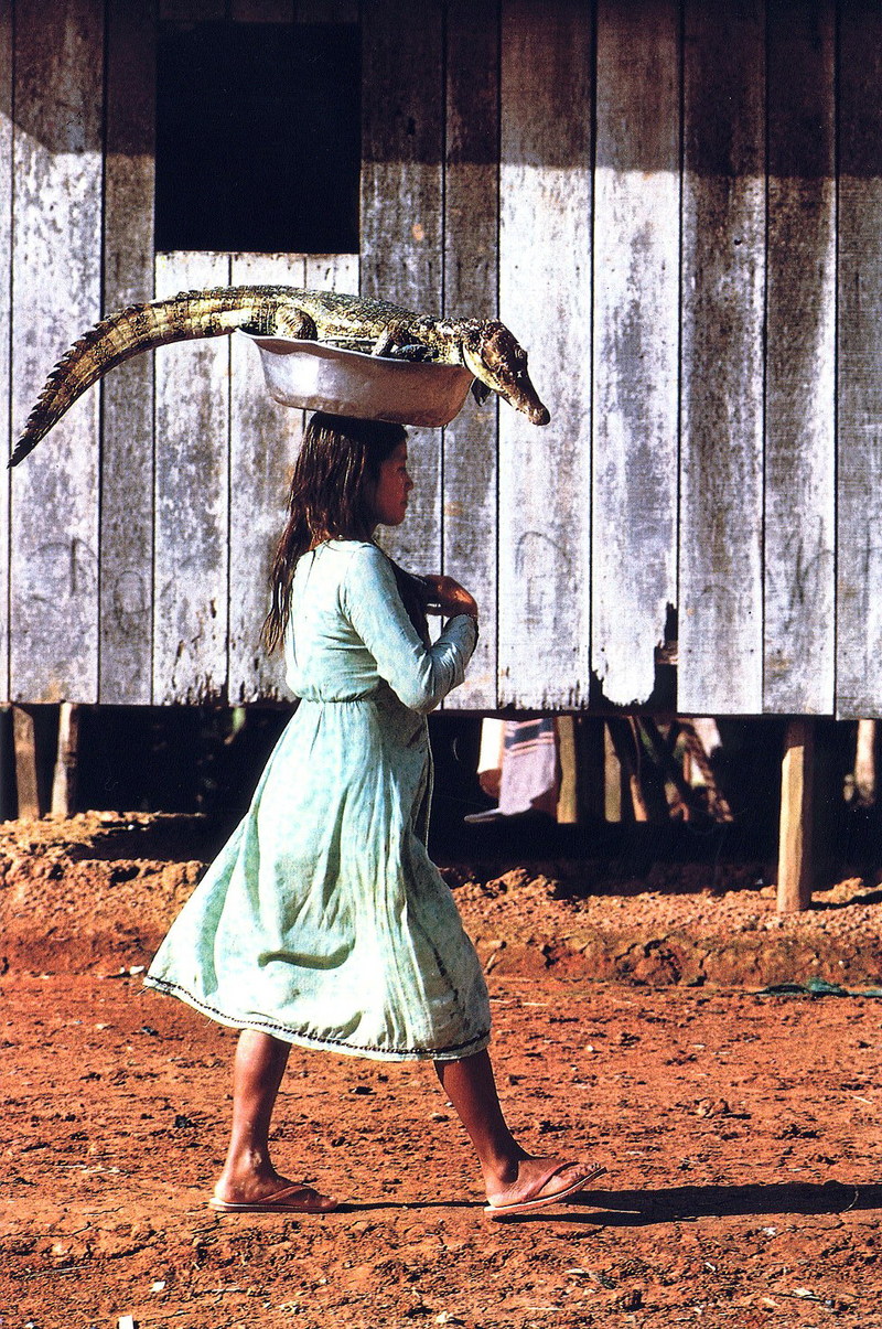 Cayman lizard on woman\'s head in Peru.jpg