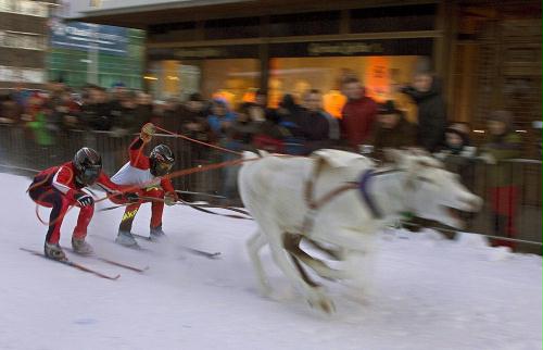 Reinder Race, Norway.jpg