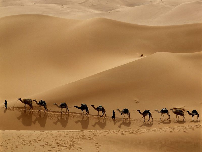 Camel Caravan Libya.jpg