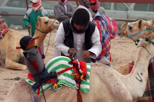Camel Race, Robot Jockey, Kuwait.jpg