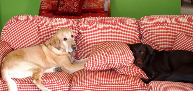 boysonthecouch.jpg