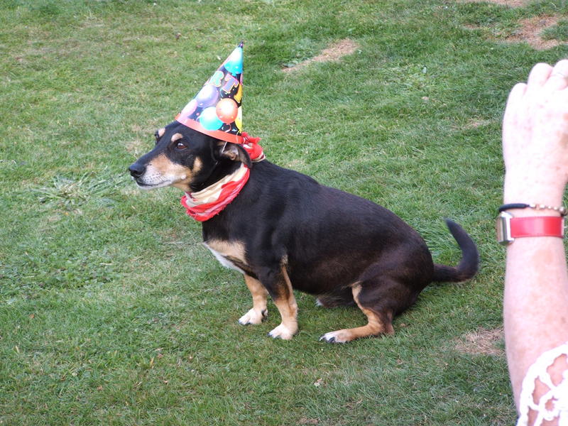 DSCF1104.JPG