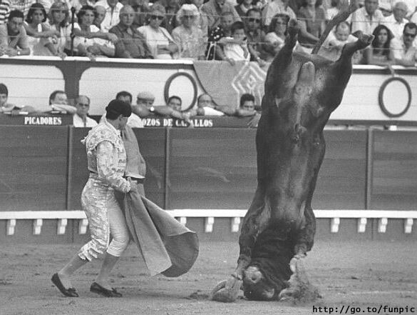 Bullfighting.jpg