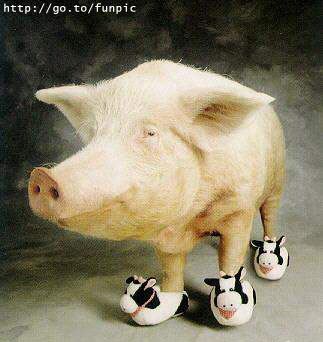 Shoe Pig.jpg