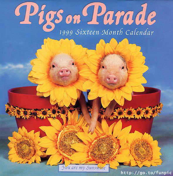 Pigs on Parade.jpg