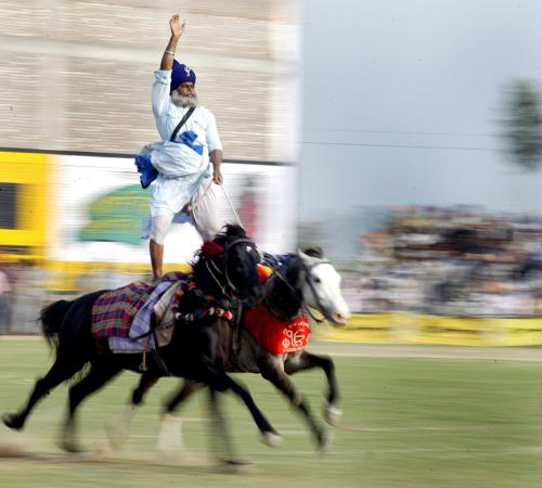 Horse Show, India.jpg