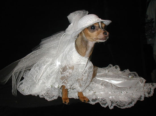 wedding gown 1uz.jpg