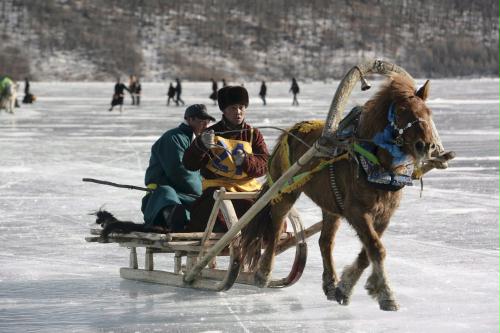 Horse Sliding On Ice, Mongolia.jpg