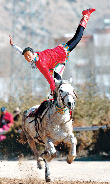 horse acrobat.jpg