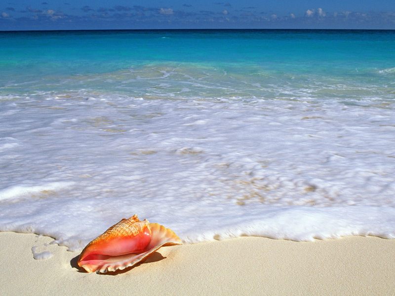 Beachside Treasure Yucatan Peninsula Mexico.jpg