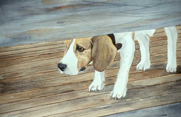 beagle1021104.jpg