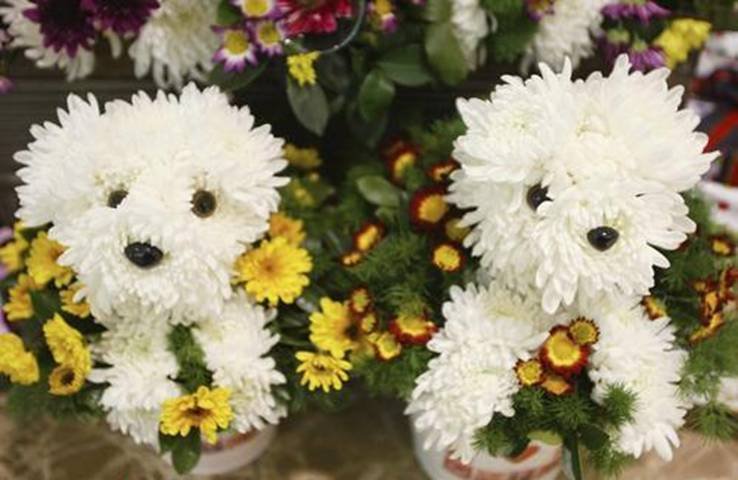 Flower Puppies.jpg