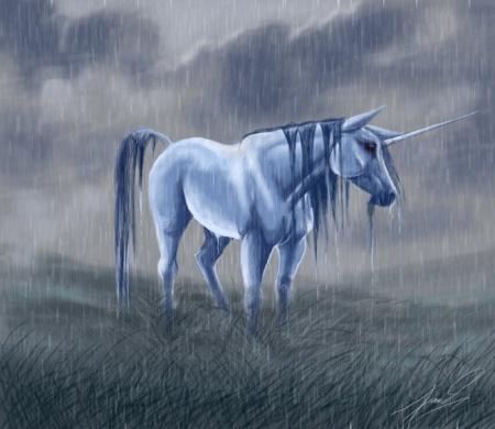 Stormey Unicorn.jpg