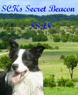 SCks Secret Beacon.bmp