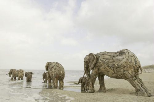 Wooden Elephants, Belgium.jpg