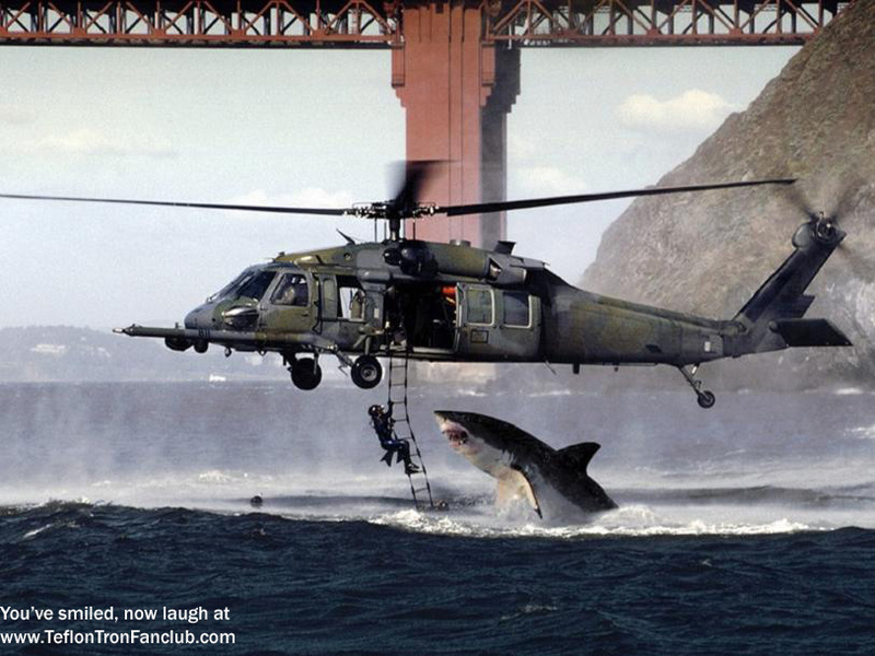 funny pics - Shark vs Navy Seals.jpg
