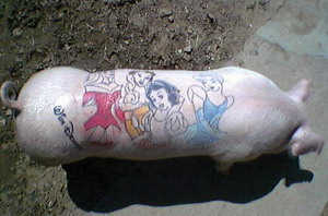 Tattooed Pigs 3.jpg