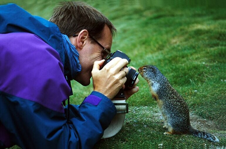 Curious Squirrel.jpg