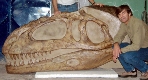 Mapusaurus roseae head fossil, Argentina.jpg