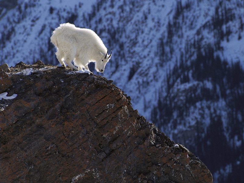 Long Way Down Rocky Mountains Colorado.jpg