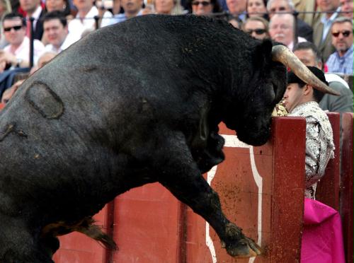 Bullfighting, Spain.jpg