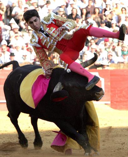 Bullfighting, Spain.jpg