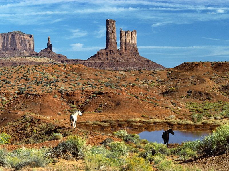 Wild Horses at the Watering Hole Monument Valley.jpg