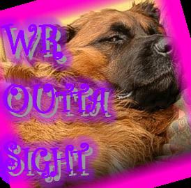 Leonberger outta sight.png