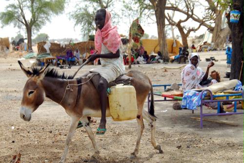 Donkey, Sudan.jpg