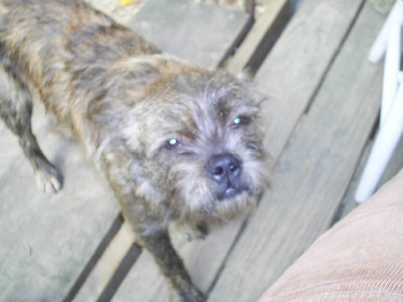 fallons pics 125.jpg