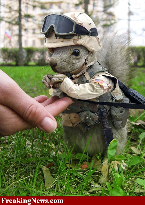Capt.Squirrel of Bravo Co.jpg