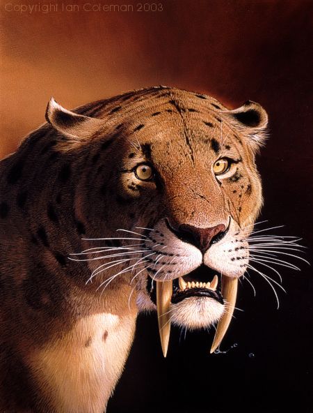 Ian Coleman Sabre Toothed Tiger.jpg
