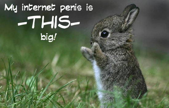internet-penis.jpg