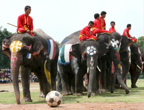 Thail elephants, soccer, Thailand.jpg