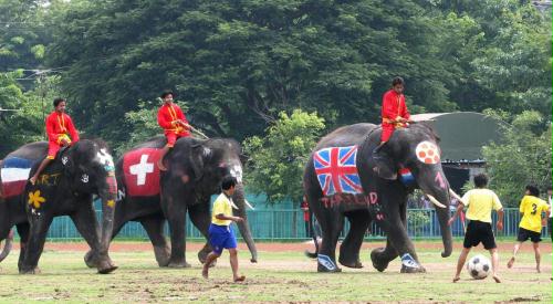 Thail elephants, soccer, Thailand.jpg