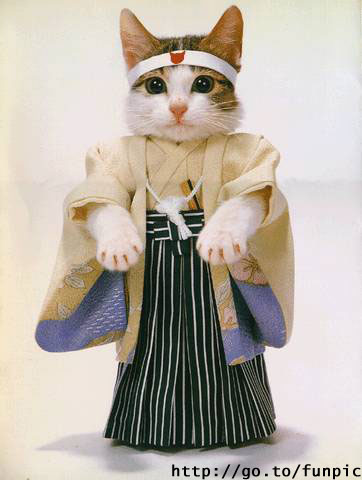 Kimono Cat.jpg
