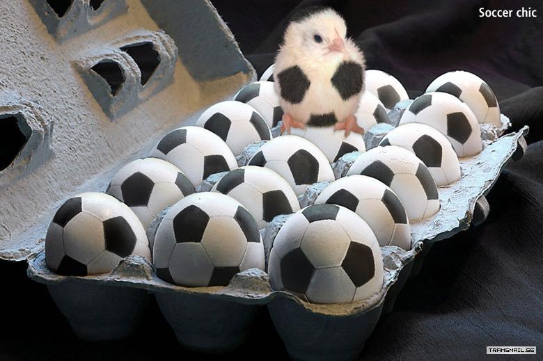Soccer Chick.JPG