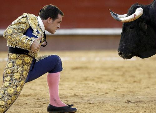 Bullfight, Spain.jpg