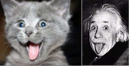 Einstein\'s Smile.jpg
