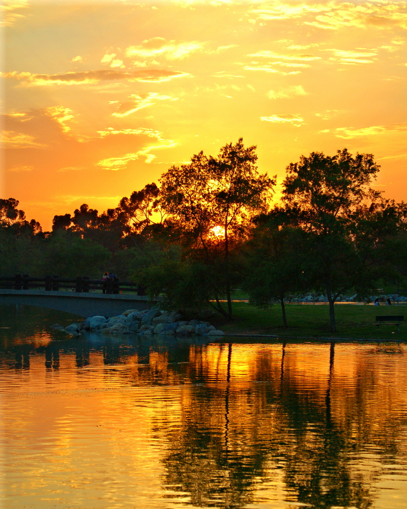 SS-060003A, Sunset, Wm. R. Mason Park, Irvine.JPG