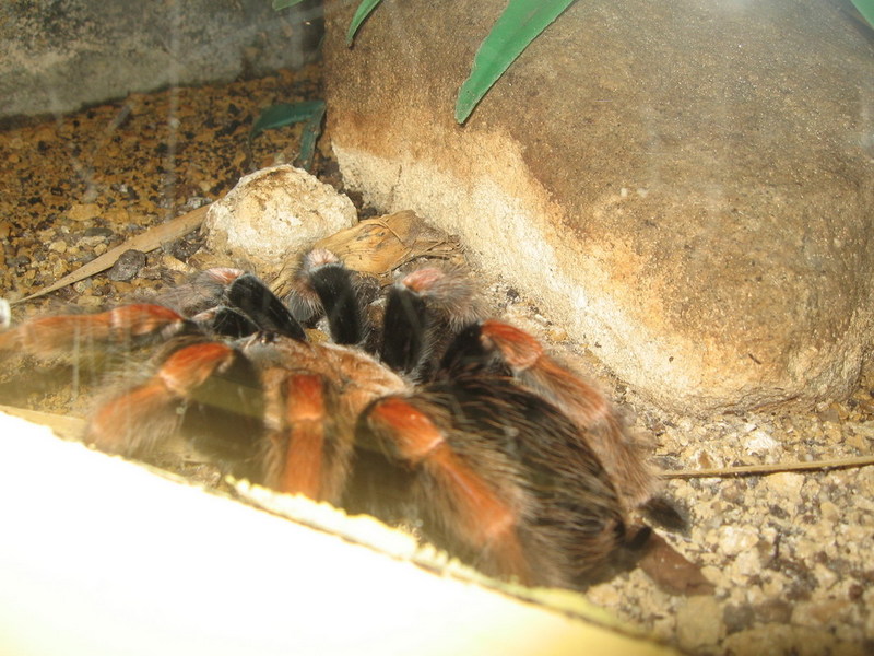 IMG 2269 resize.JPG