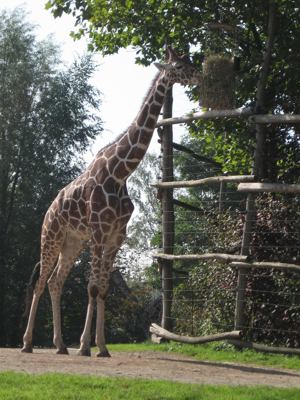 IMG 2304 resize.JPG