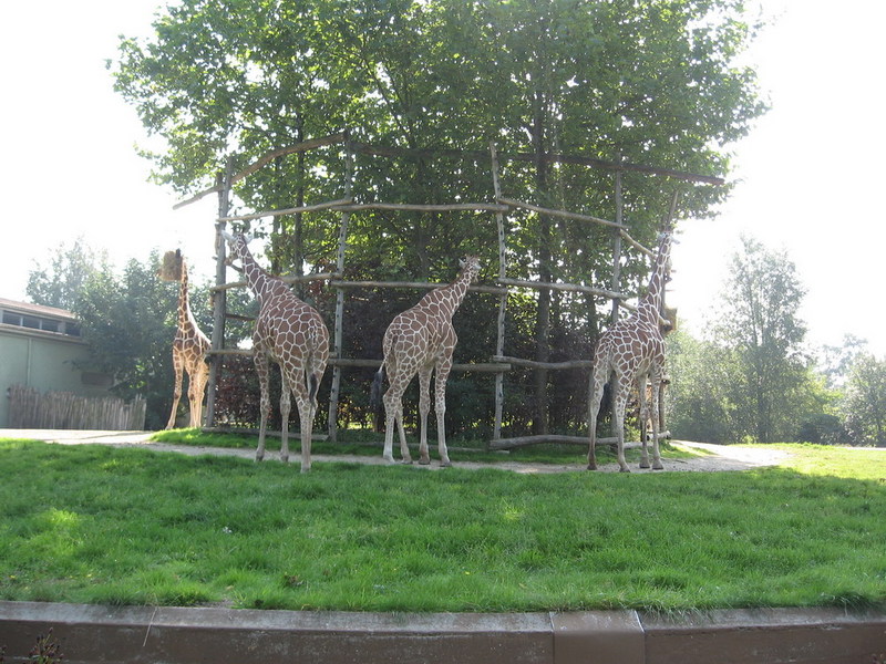 IMG 2308 resize.JPG