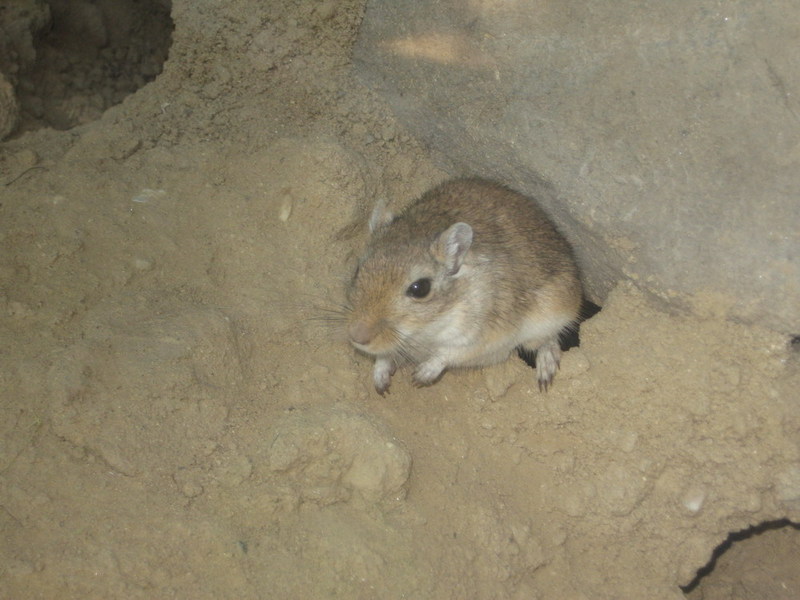 IMG 2327 resize.JPG