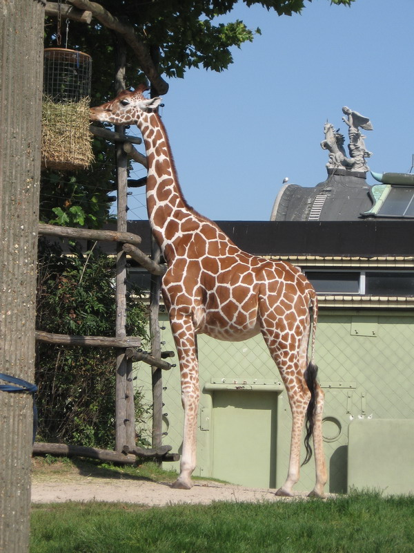 IMG 2471 resize.JPG