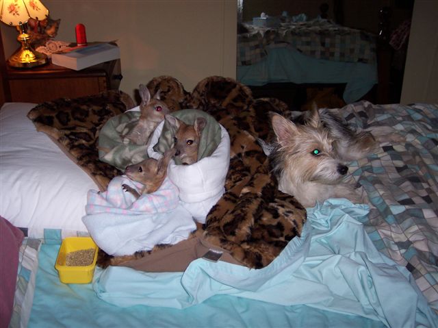 100 3053.jpg
