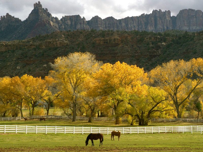 Autumn Season in the Country Utah.jpg