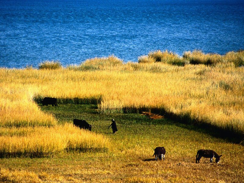 Farming Along the Eastern Shore of Lake Titicaca La Paz Bolivia.jpg