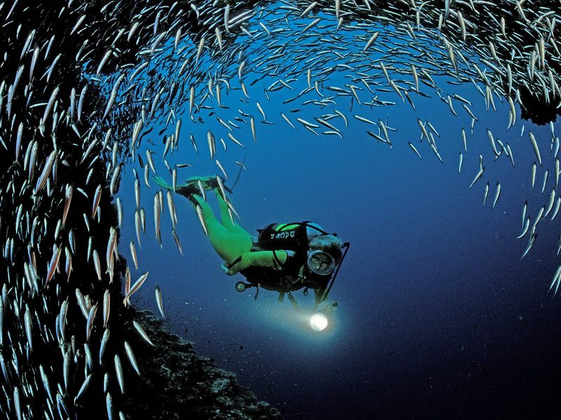 Scuba Diving Near Ari Atoll Indian Ocean.jpg