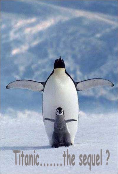 Titanic Penguins.jpg